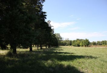 Terrenos en  Pilar, Partido Del Pilar