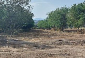 Lote de Terreno en  Río Papaloapan, Fracc Lomas De San Fernando, San Fernando, Tamaulipas, 87606, Mex