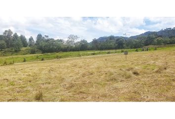 Lote de Terreno en  La Ceja, Antioquia