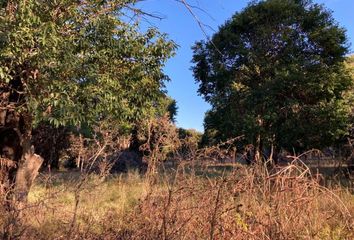 Terrenos en  Río De Los Sauces, Córdoba