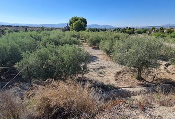 Chalet en  Molina De Segura, Murcia Provincia