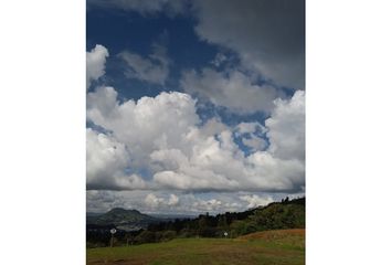 Lote de Terreno en  La Ceja, Antioquia