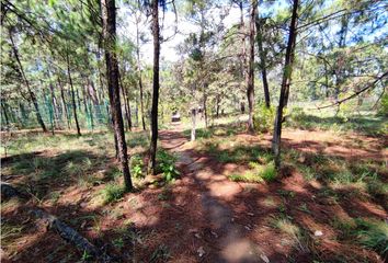 Lote de Terreno en  Avándaro, Valle De Bravo