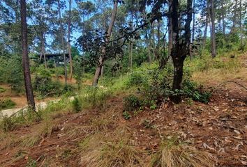 Lote de Terreno en  Valle De Bravo, México, Mex