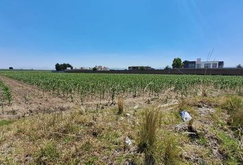 Lote de Terreno en  Villas Del Campo, Calimaya