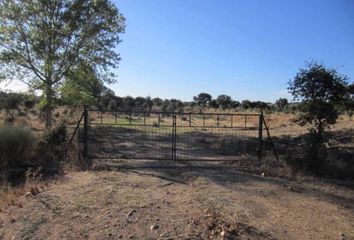 Terreno en  Ciudad Rodrigo, Salamanca Provincia