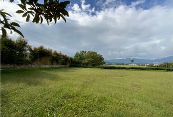 Lote de Terreno en  La Ceja, Antioquia