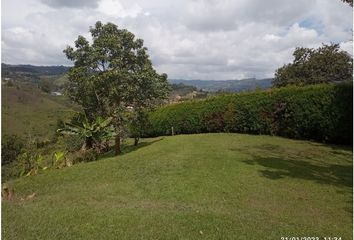 Lote de Terreno en  Guarne, Antioquia