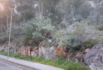 Terreno en  Alzira, Valencia/valència Provincia