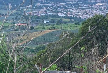 Lote de Terreno en  Tequila, Jalisco, Mex