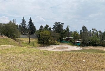 Terreno Comercial en  Tumbaco, Quito