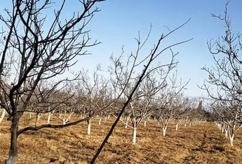 Terrenos en  Famatina, La Rioja