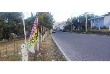 Lote de Terreno en  Tizapán El Alto, Jalisco