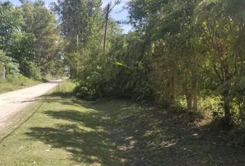 Terrenos en  Benavidez, Partido De Tigre