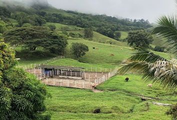 Villa-Quinta en  El Jardín, Pereira