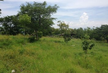 Lote de Terreno en  Pueblo Alpuyeca, Xochitepec, Morelos