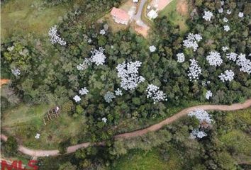 Lote de Terreno en  Rionegro Antioquía