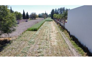 Lote de Terreno en  Residencial Q Campestre, Jesús María, Aguascalientes