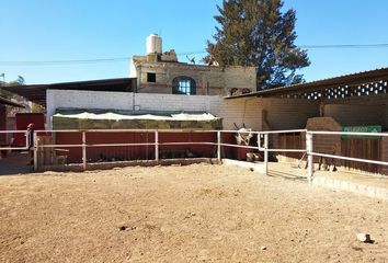 1 rancho en venta en San Agustin, Tlajomulco de Zúñiga, Tlajomulco de  Zúñiga 