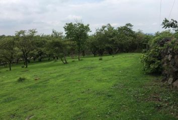 Lote de Terreno en  Pueblo Santo Domingo Ocotitlán, Tepoztlán