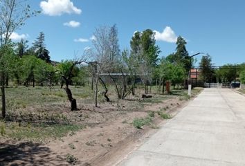 Terrenos en  Zanjitas, San Luis