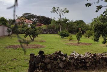 Terreno Comercial en  Puembo, Quito