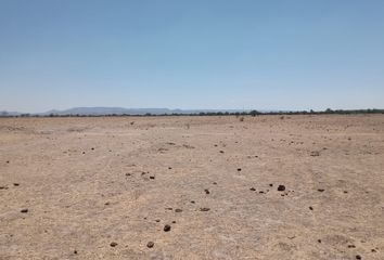 Lote de Terreno en  Carretera Villa Juárez-la Luz, El Novillo, El Llano, Aguascalientes, 20334, Mex