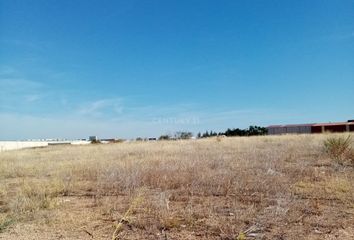 Terreno en  Almendralejo, Badajoz Provincia