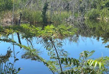 Lote de Terreno en  Tulum, Tulum