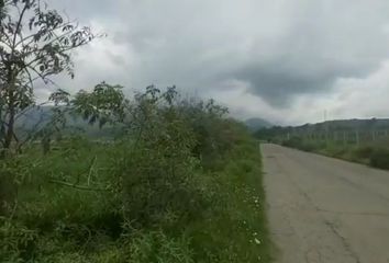 Lote de Terreno en  Tianguistenco, México, Mex
