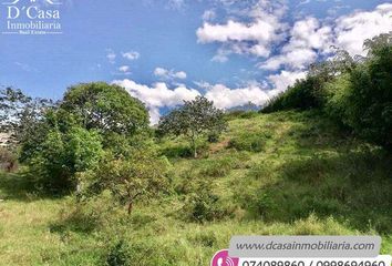 Terreno Comercial en  Ppph+4cw, Santa Isabel, Ecuador