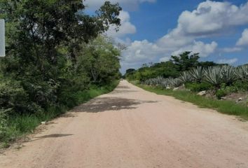 Lote de Terreno en  Calle 21, Baca, Yucatán, 97450, Mex