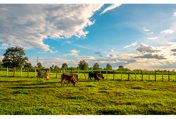 Finca/Hacienda en  Barrio Colón, La Chorrera