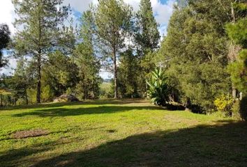 Lote de Terreno en  Concordia, Antioquia, Col