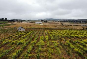 Lote de Terreno en  La Misión, Ensenada