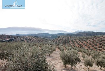 Chalet en  Loja, Granada Provincia