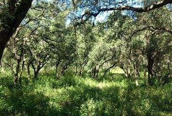 Lote de Terreno en  San Francisco, Santiago, Santiago, Nuevo León