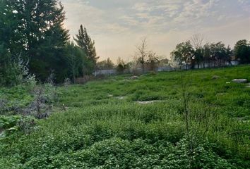 Parcela en  Calera De Tango, Maipo