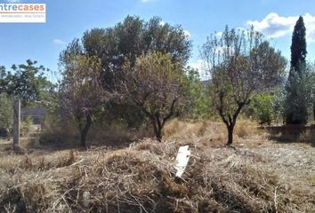Terreno en  Albalat Dels Taronchers, Valencia/valència Provincia
