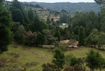 Lote de Terreno en  Guarne, Antioquia