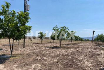 Lote de Terreno en  General Cepeda, Coahuila