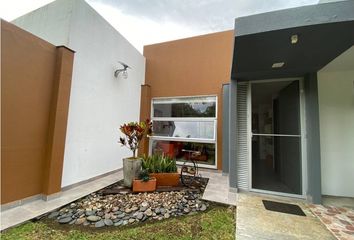 294 casas económicas en arriendo en Pereira 