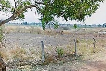 Lote de Terreno en  Villa Guerrero, Estado De México