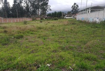 Terreno Comercial en  Tulio Garzon 2168, Pifo 170175, Ecuador