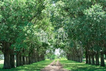 Terrenos en  Buenos Aires Costa Atlántica