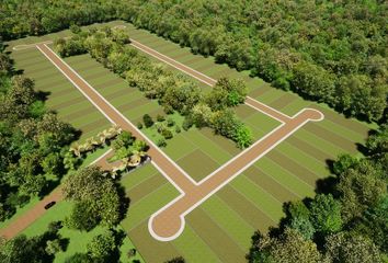 Lote de Terreno en  Dzidzantún, Yucatán