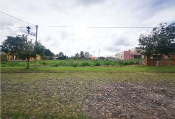 Lote de Terreno en  Camino Real, Sahuayo De Morelos