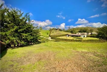 Lote de Terreno en  La Ceja, Antioquia