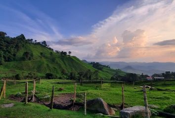 Lote de Terreno en  Centro, Manizales