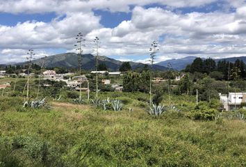 Terreno Comercial en  Puembo, Quito